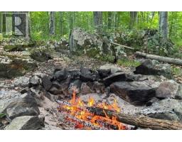 1010 Firefly Lane, Frontenac, ON K0H2L0 Photo 31