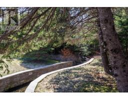 149 Pine Line thumbnail 15