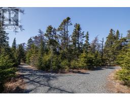 149 Pine Line thumbnail 48