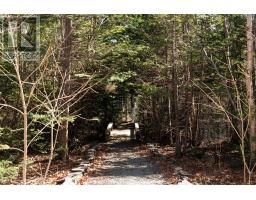 149 Pine Line thumbnail 49