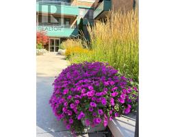 309 - 30 Elm Avenue, Toronto, ON M4W1N5 Photo 23