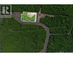 356 Timberline Road, Moncton, NB E1G3G8 Photo 6