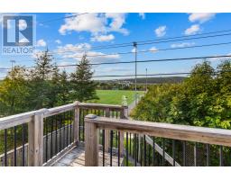 132 Castle Bridge Drive thumbnail 39