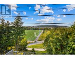 132 Castle Bridge Drive thumbnail 40