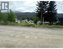 352 Marmot Crescent, Bralorne, BC V0K1P0 Photo 39