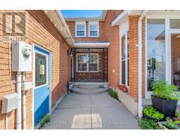 Kitchen - 92 Tulip Drive, Brampton, ON L6Y3X6 Photo 6