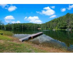 41 Ch. Maccreadie, Otter Lake, QC J0X2P0 Photo 24