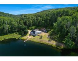 41 Ch. Maccreadie, Otter Lake, QC J0X2P0 Photo 37