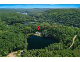 41 Ch. Maccreadie, Otter Lake, QC J0X2P0 Photo 38