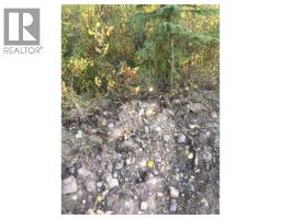 Dl 1948 Pink Mountain Road, Fort St  John, BC V0C2B0 Photo 12