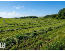 736 Blue Heron Drive, Rural Lac Ste  Anne County, AB T0E1V0 Photo 38