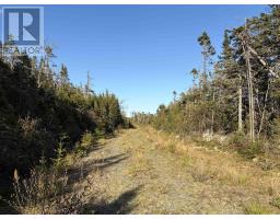 Lot 7 Sheet Harbour Passage Road, Sheet Harbour Passage, NS B0J2R0 Photo 6