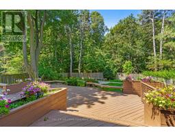 Cold room - 14 Tremont Crescent, Toronto, ON M3B2S1 Photo 6