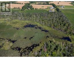 209 15/16 Sideroad E, Oro Medonte, ON L0L2E0 Photo 17