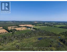 209 15/16 Sideroad E, Oro Medonte, ON L0L2E0 Photo 18