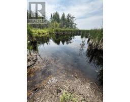 209 15/16 Sideroad E, Oro Medonte, ON L0L2E0 Photo 23