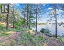 111 Gazelle Trail, North Kawartha, ON K0L1A0 Photo 17