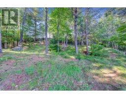 111 Gazelle Trail, North Kawartha, ON K0L1A0 Photo 18