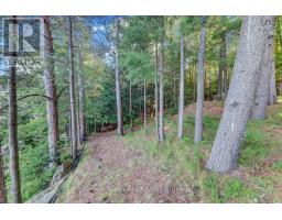 111 Gazelle Trail, North Kawartha, ON K0L1A0 Photo 19