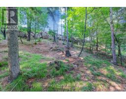 111 Gazelle Trail, North Kawartha, ON K0L1A0 Photo 23