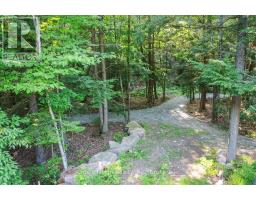 111 Gazelle Trail, North Kawartha, ON K0L1A0 Photo 39