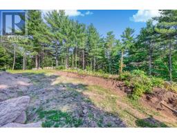 119 Gazelle Trail, North Kawartha, ON K0L1A0 Photo 11