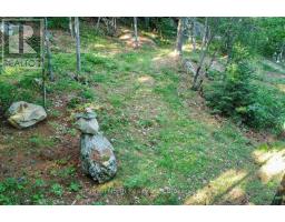 119 Gazelle Trail, North Kawartha, ON K0L1A0 Photo 27