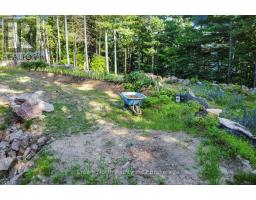 119 Gazelle Trail, North Kawartha, ON K0L1A0 Photo 29