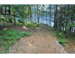 119 Gazelle Trail, North Kawartha, ON K0L1A0 Photo 33