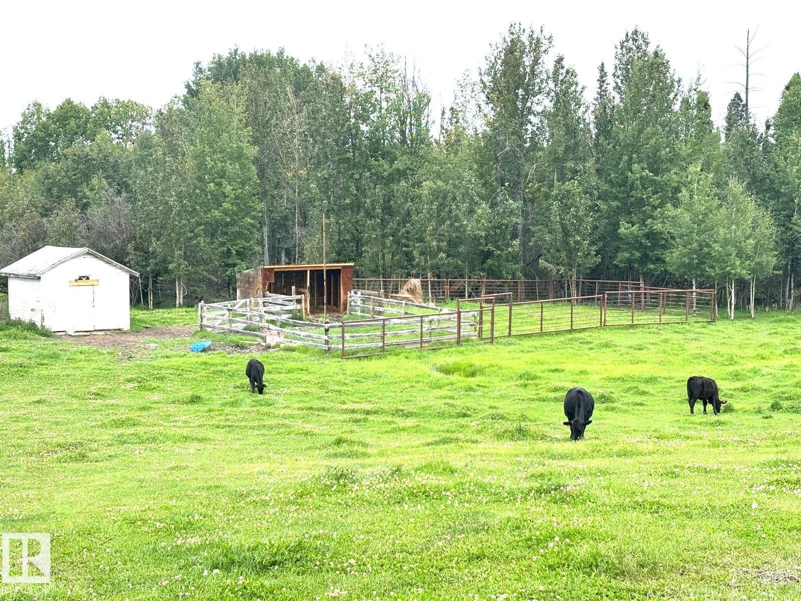 49424 Range Road 55 - 42