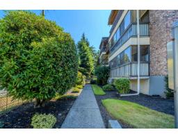 317 32175 Old Yale Road, Abbotsford, BC V2T2C8 Photo 6