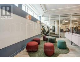 111 - 39 Farmstead Road, Toronto, ON M2L2X2 Photo 31