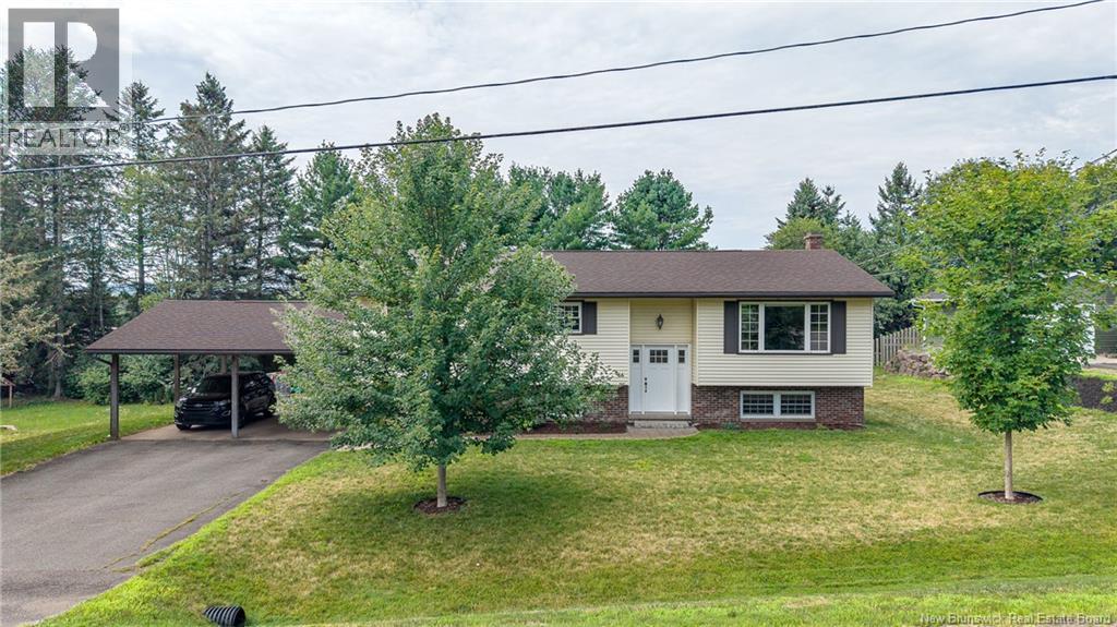 66 Viola Avenue - 1