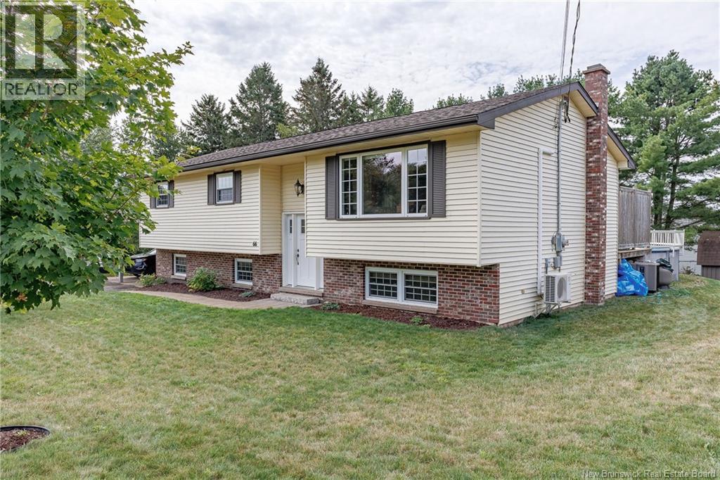 66 Viola Avenue - 2