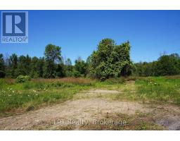 317505 Highway 6&10, Meaford, ON N4K5N6 Photo 28