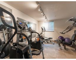 303 20239 Michaud Crescent, Langley, BC V3A8L1 Photo 27