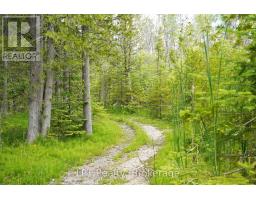 454 Highway 6, South Bruce Peninsula, ON N0H2T0 Photo 41