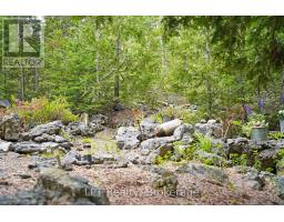 454 Highway 6, South Bruce Peninsula, ON N0H2T0 Photo 37