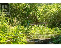 25 Dock Road, South Bruce Peninsula, ON N0H2T0 Photo 44