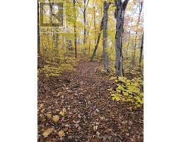 550 Shawanaga Lake, Mcdougall, ON P0A1G0 Photo 20