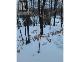 550 Shawanaga Lake, Mcdougall, ON P0A1G0 Photo 35