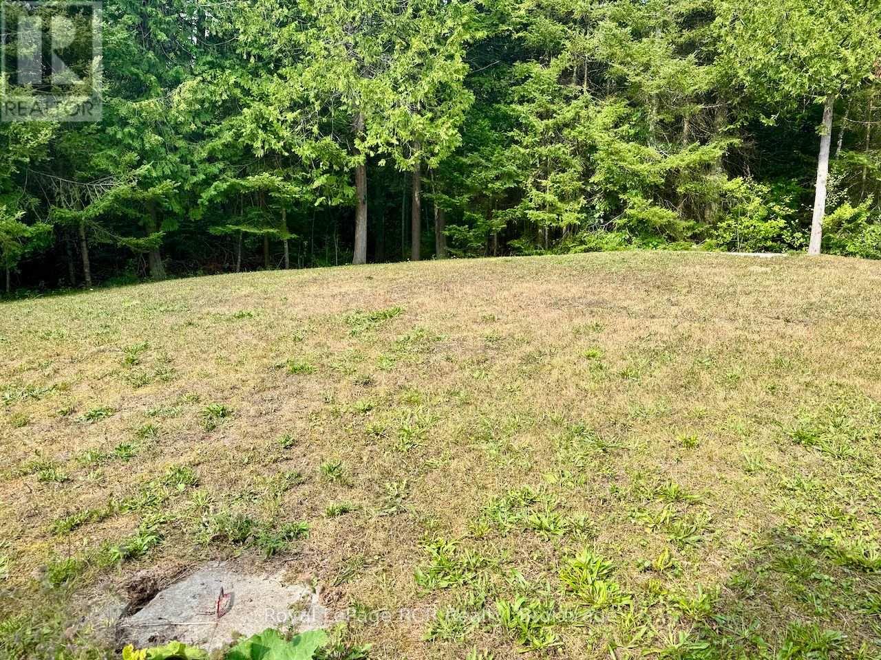 568 STOKES BAY ROAD - Image 43