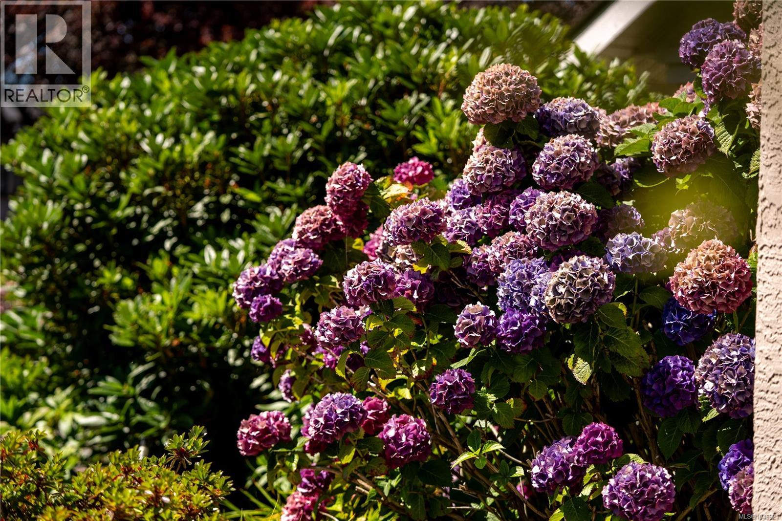  4596 Bonnieview Place, Saanich