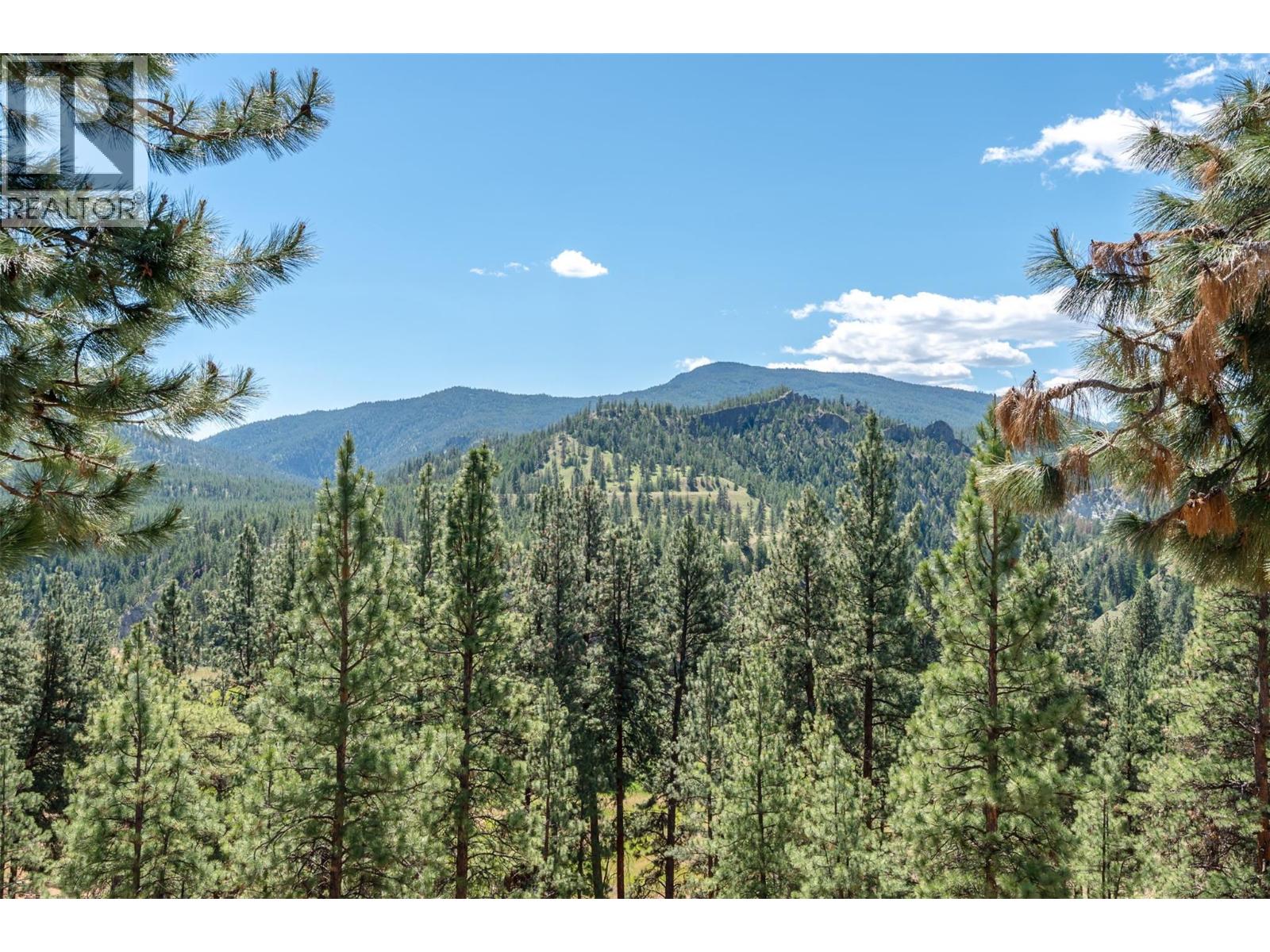 9931 CANYON VIEW Road - 41