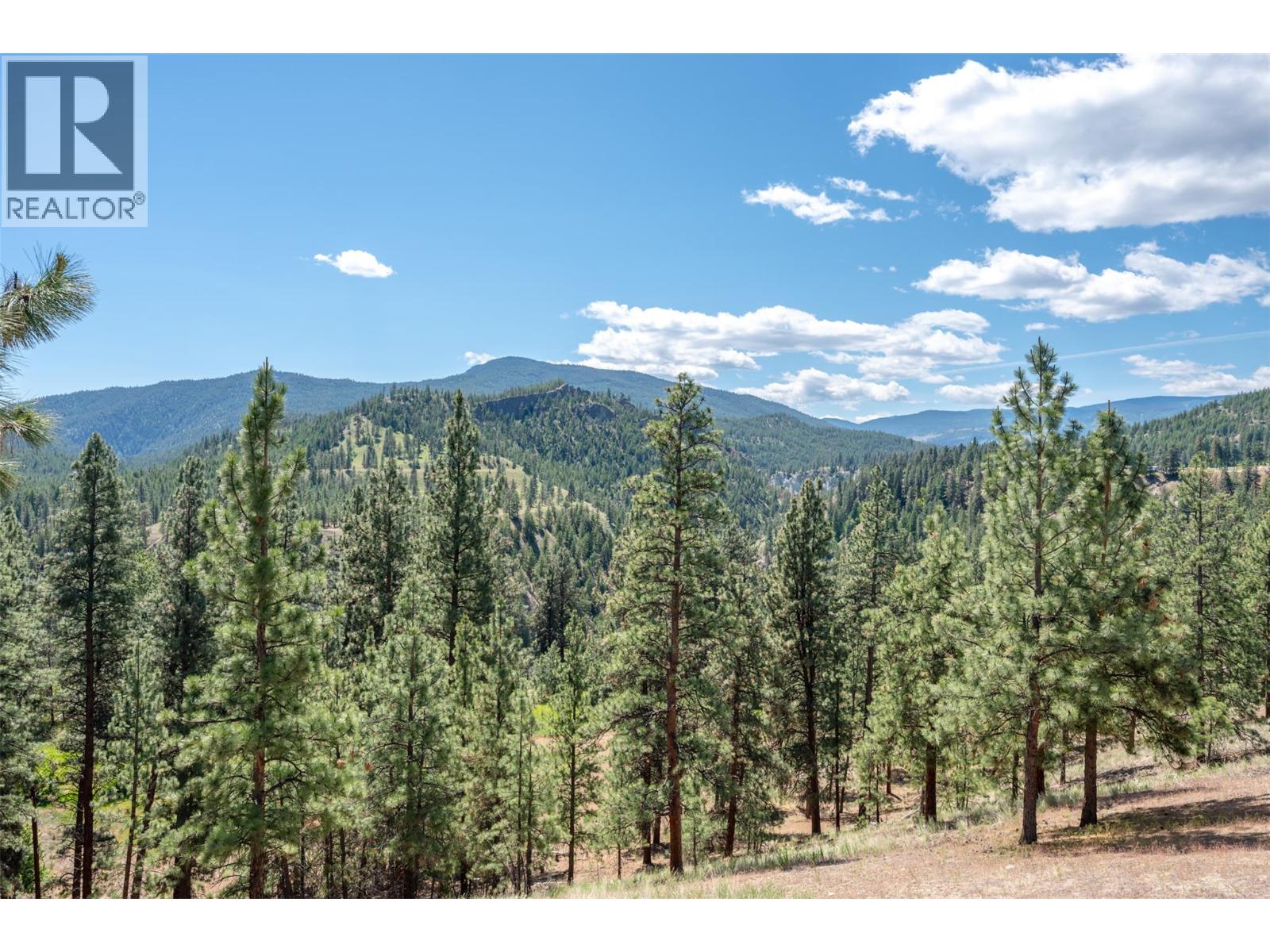 9931 CANYON VIEW Road - 48