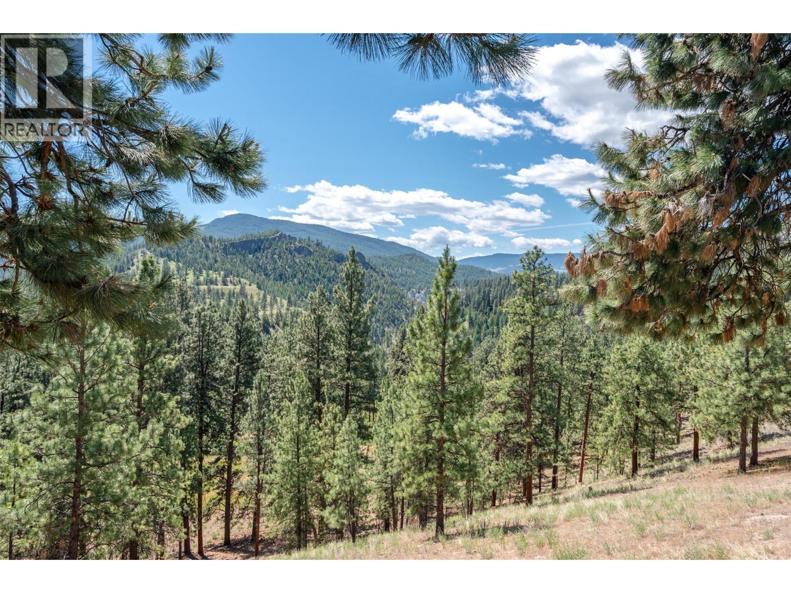 9931 CANYON VIEW Road - 39