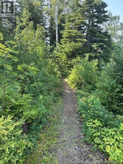 Lot Eloi Lane - 26