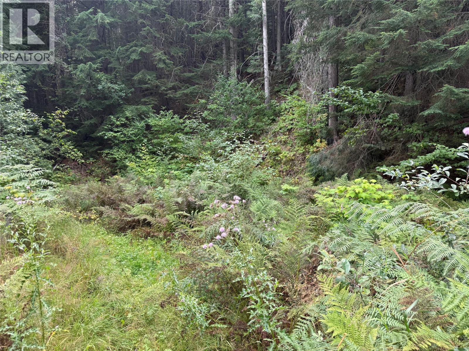 3420 Pass Creek Road - 18