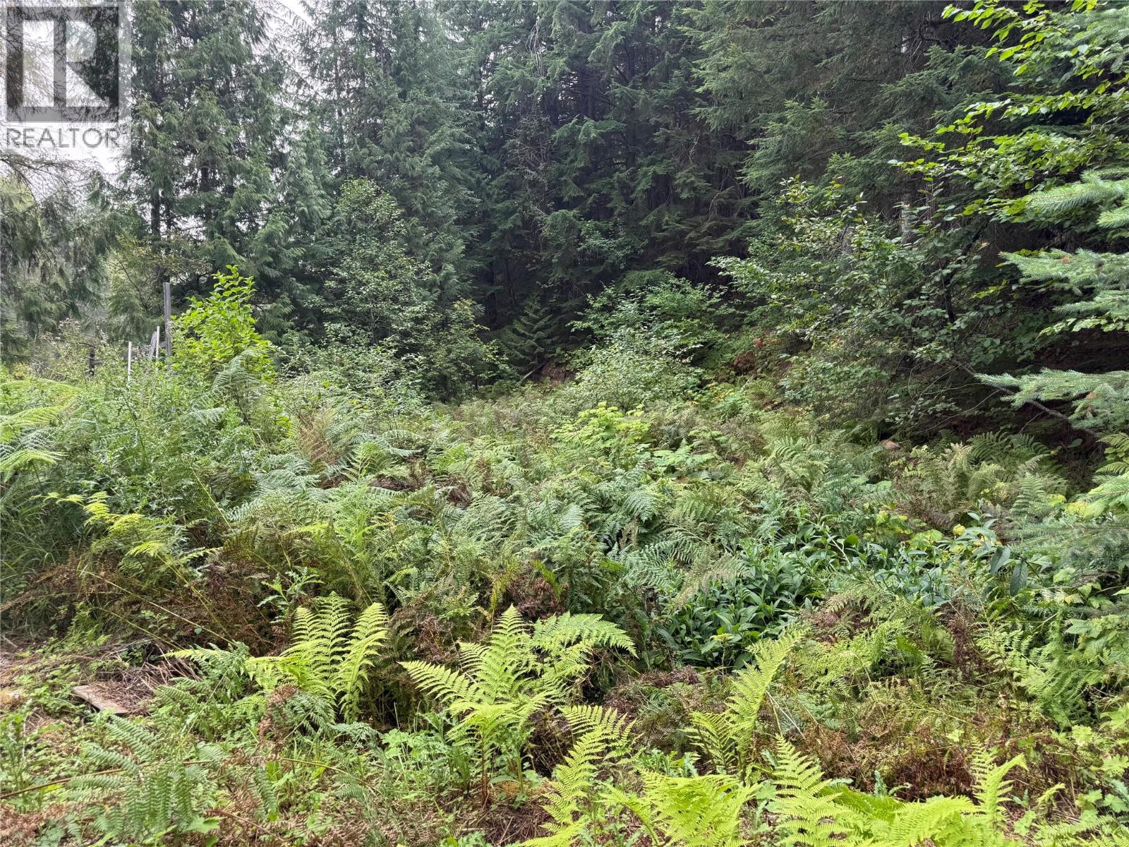 3420 Pass Creek Road - 19