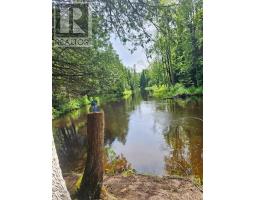 31 Digby Laxton Boundary Road, Kawartha Lakes, ON K0M2B0 Photo 7